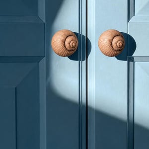Handmade Snail Shell Cabinet Knob, Unique Drawer Pull