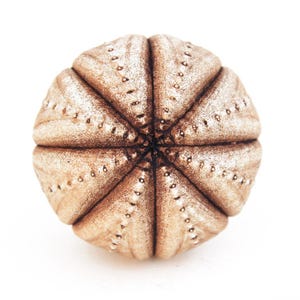 Knobs drawer knobs for dresser knobs set knobs and handles knobs and pulls cupboard knobs cupboard door knobs kitchen knobs cabinet knobs imagen 14