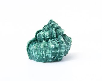 Concrete knobs furniture knobs kitchen cabinet knobs dresser hardware drawer knobs cabinet handles knobs and pulls sea shell decor knob