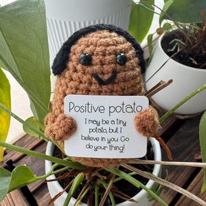 Puede incluir: Una figura de patata tejida a ganchillo de color marrón con pelo de lana negra y ojos de plástico negro, que sostiene un cartel rectangular blanco con el texto: Positive potato I may be a tiny potato, but I believe in you Go do your thing!