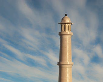 Pepper Mill | Salt Mill Taj Mahal Minaret Tribute in Hard Maple