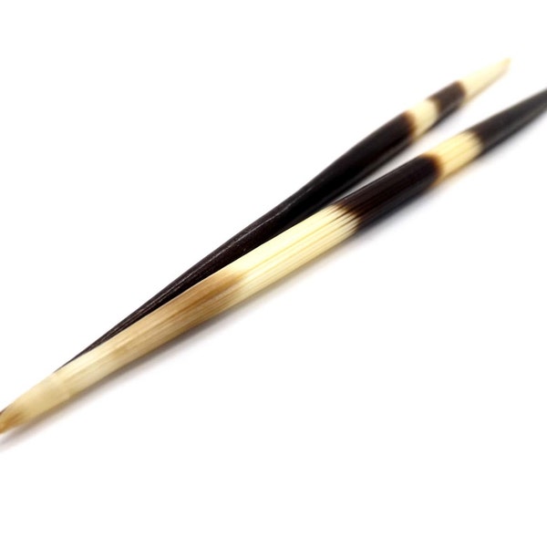 Porcupine Quills - Pack of 2