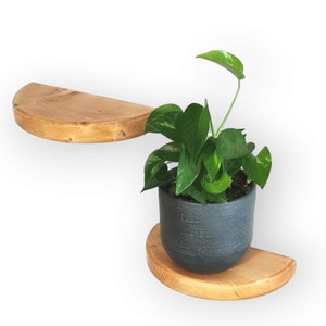 Rustic Pine Round Floating Wall Shelf: Modern Plant Decor