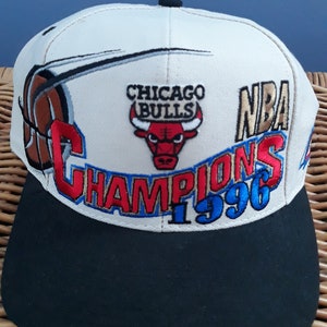 Chicago Bulls Mitchell & Ness 1996 NBA Champs Commemorative