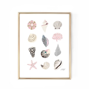May include: A framed print featuring a collection of illustrated seashells in various shapes, sizes, and colors. The artwork includes a starfish, coral, and several types of shells, all set against a white background. The frame is gold.