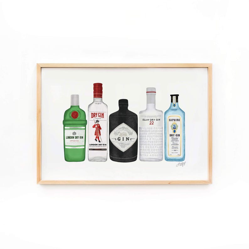 A framed print of five different gin bottles. The bottles are all different brands and have different labels. The bottles are arranged in a row from left to right. The bottles are all in a white background. The print is on a shelf with other items, including books, a radio, and plants.