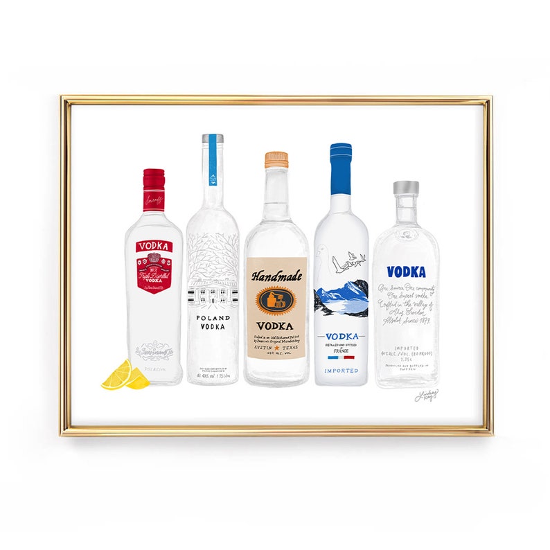 Vodka Bottles Illustration Art Print image 1