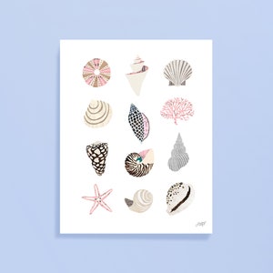 May include: A print featuring a collection of various seashells in shades of pink, beige, and gray. The arrangement includes a starfish, a nautilus shell, and several other unique shell shapes, all set against a white background.