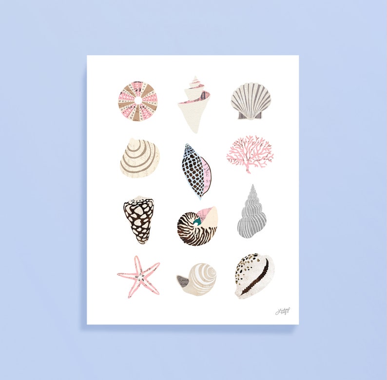 May include: A print featuring a collection of various seashells in shades of pink, beige, and gray. The arrangement includes a starfish, a nautilus shell, and several other unique shell shapes, all set against a white background.