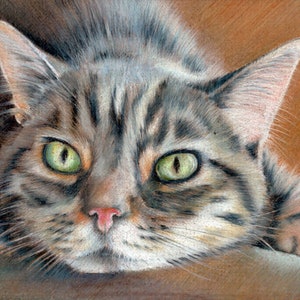 READY TO POUNCE - Original coloured pencil portrait of a Tabby Cat - approx 10" x 8"