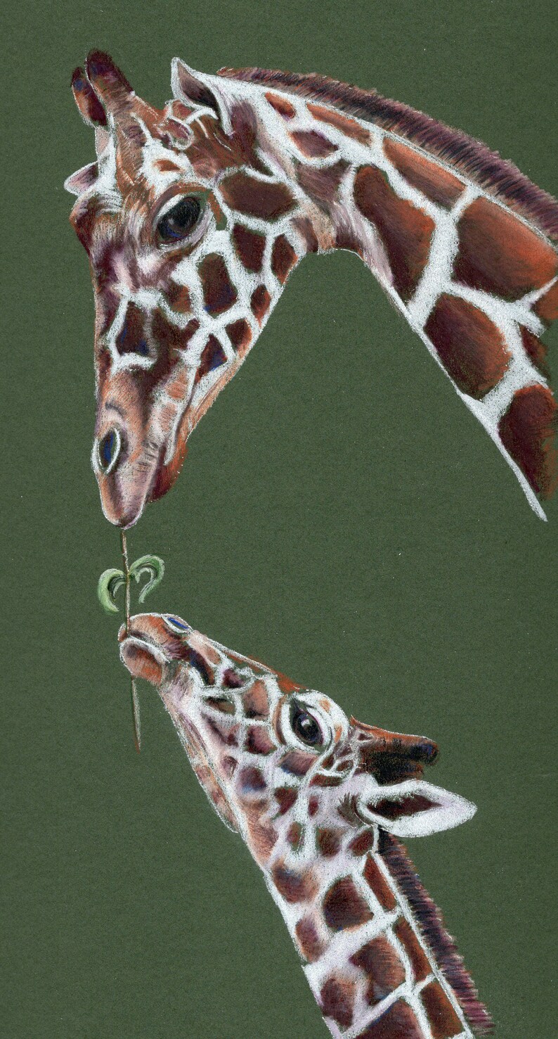 GIRAFFES MOTHERLY LOVE Original Coloured Pencil Portrait 12 X 6 With