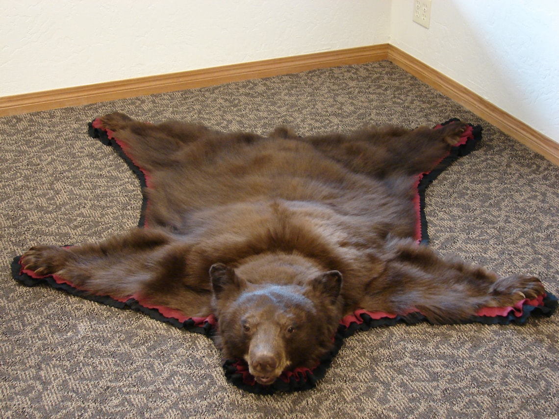 Small Real Black Bear Rug or Wall Hanging. Great for your Etsy