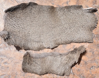 Puede incluir: Dos piezas de piel animal natural con pelaje grueso de color gris parduzco. La pieza más grande tiene una forma irregular con una superficie texturizada, mientras que la más pequeña es rectangular con un pelaje denso de pelo corto.