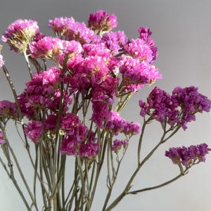 May include: A bouquet of dried statice flowers featuring clusters of vibrant magenta and deep purple blossoms on thin, light green stems. The small, papery petals are densely packed, creating a textured appearance across the stems.