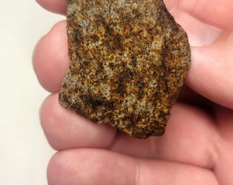 Meteorite 30.00 grams NWA xxxx unclassified chondrite END CUT