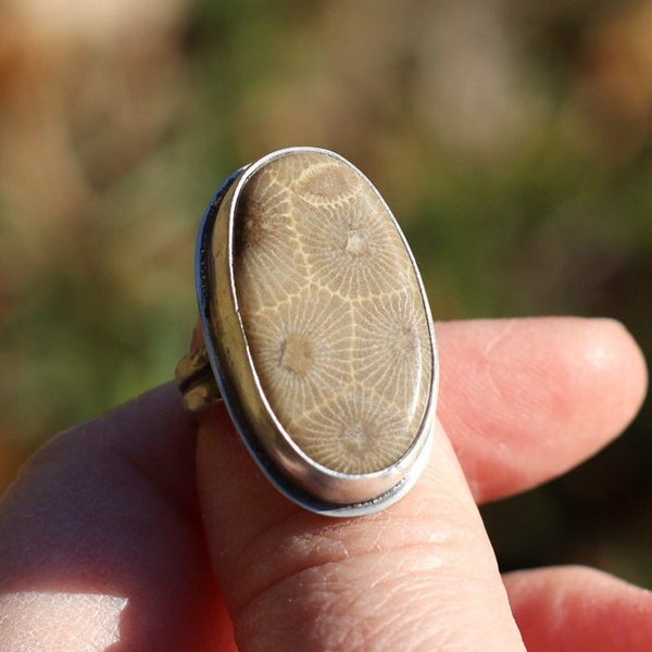 Petoskey Stone Ring with a double band