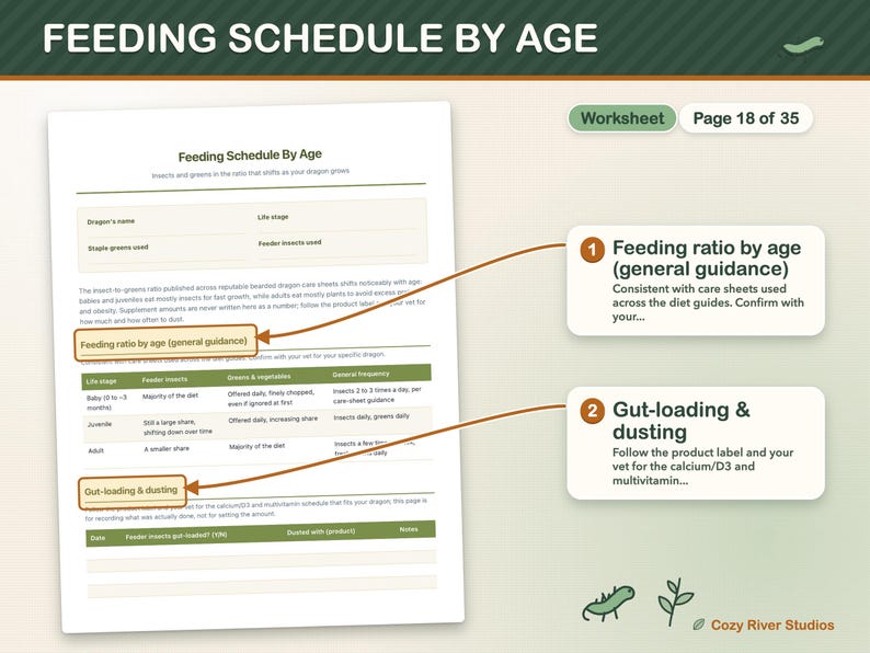 Bearded Dragon Care Sheet Printable, Beardie Care Planner, Feeding Schedule, Weight Tracker, Reptile Care Log, Safe Foods Chart image 6