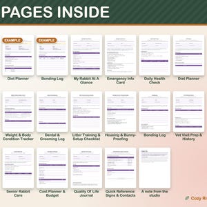 Kaninchenpflege-Vorlagen zum Ausdrucken, Kaninchenpflegeplaner, Gesundheits-Tracker für Kaninchen, Futterplaner, Tierarztbesuchsprotokoll, Kaninchenpflege-Protokoll (PDF) Bild 3