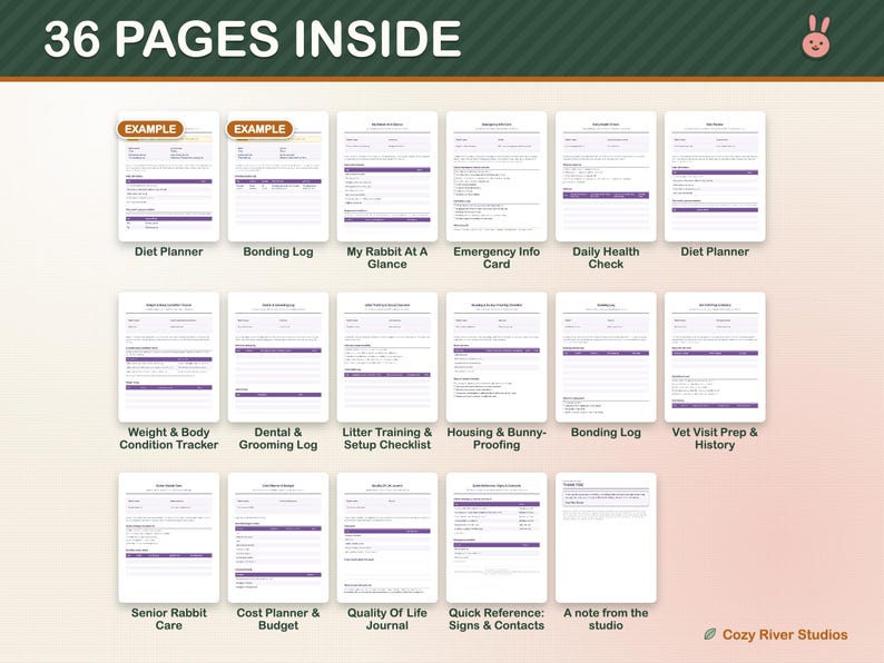 Kaninchenpflege-Vorlagen zum Ausdrucken, Kaninchenpflegeplaner, Gesundheits-Tracker für Kaninchen, Futterplaner, Tierarztbesuchsprotokoll, Kaninchenpflege-Protokoll (PDF) Bild 3