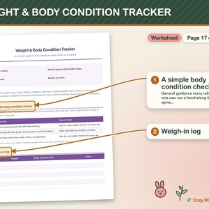 Kaninchenpflege-Vorlagen zum Ausdrucken, Kaninchenpflegeplaner, Gesundheits-Tracker für Kaninchen, Futterplaner, Tierarztbesuchsprotokoll, Kaninchenpflege-Protokoll (PDF) Bild 6