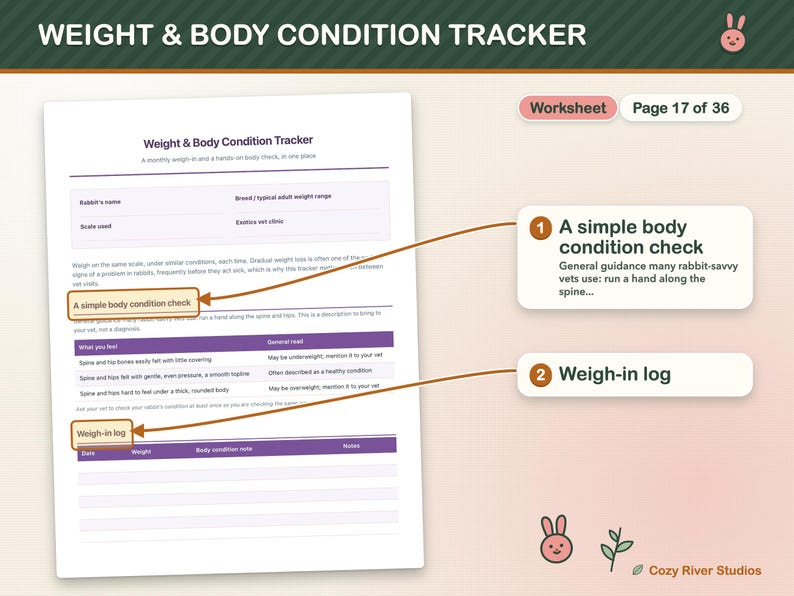 Kaninchenpflege-Vorlagen zum Ausdrucken, Kaninchenpflegeplaner, Gesundheits-Tracker für Kaninchen, Futterplaner, Tierarztbesuchsprotokoll, Kaninchenpflege-Protokoll (PDF) Bild 6