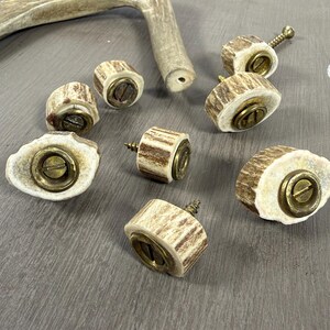 May include: A collection of cabinet knobs made from natural antler segments with brass-toned metal hardware. Each knob features a textured, light brown and cream-colored antler base with a central circular brass screw fitting for installation.