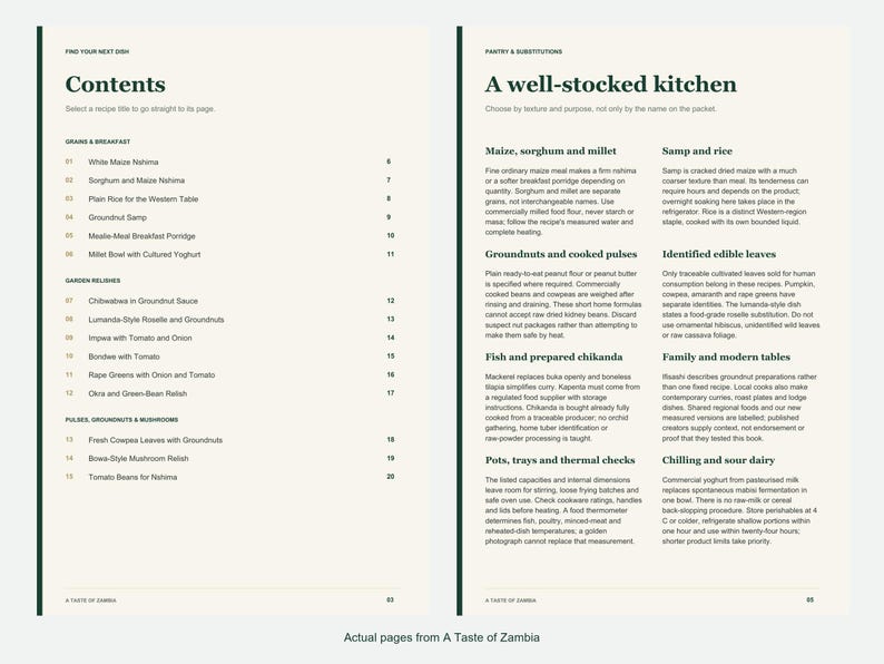 Actual contents and kitchen-notes pages from A Taste of Zambia.