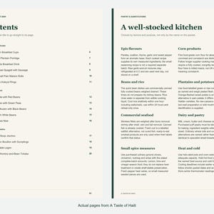 Actual contents and kitchen-notes pages from A Taste of Haiti.