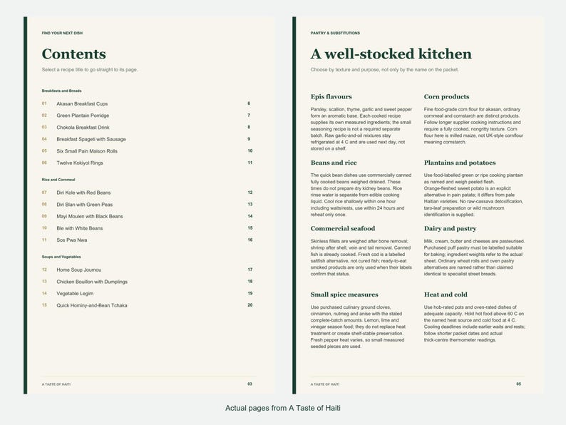 Actual contents and kitchen-notes pages from A Taste of Haiti.