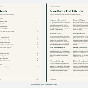 Actual contents and kitchen-notes pages from A Taste of Sudan.