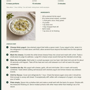 Actual PDF page 13 from A Taste of Turkiye: Thick Yogurt & Herb Dip recipe page.