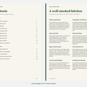 Actual contents and kitchen-notes pages from A Taste of Syria.