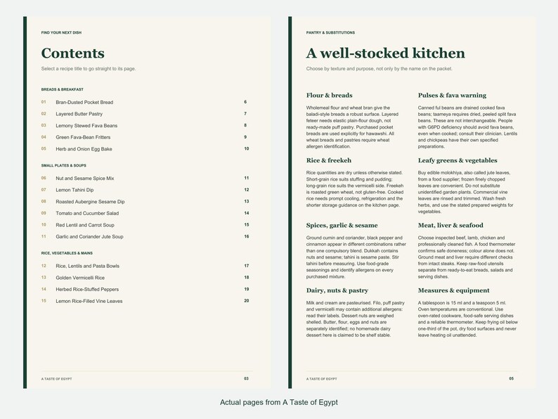Actual contents and kitchen-notes pages from A Taste of Egypt.