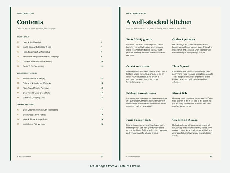 Actual contents and kitchen-notes pages from A Taste of Ukraine.