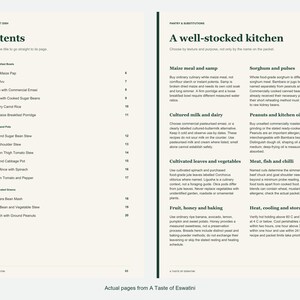 Actual contents and kitchen-notes pages from A Taste of Eswatini.