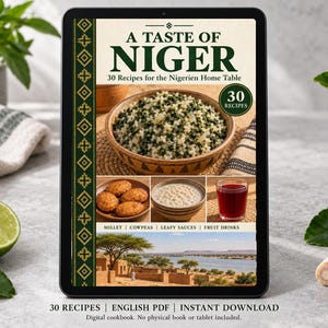 Digital cookbook mockup displaying the actual A Taste of Niger cover. English PDF download only; no tablet or physical book included.