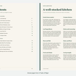 Actual contents and kitchen-notes pages from A Taste of Niger.