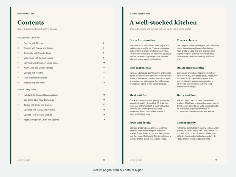 Actual contents and kitchen-notes pages from A Taste of Niger.