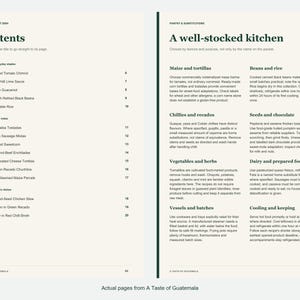 Actual contents and kitchen-notes pages from A Taste of Guatemala.