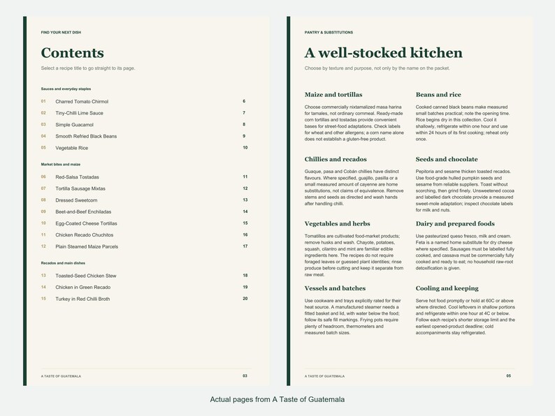 Actual contents and kitchen-notes pages from A Taste of Guatemala.