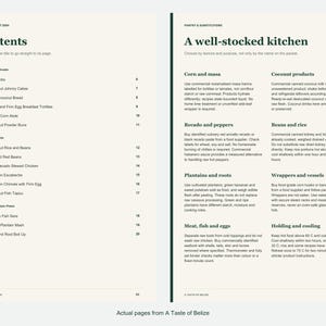 Actual contents and kitchen-notes pages from A Taste of Belize.