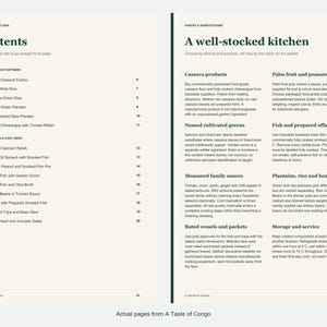 Actual contents and kitchen-notes pages from A Taste of Congo.