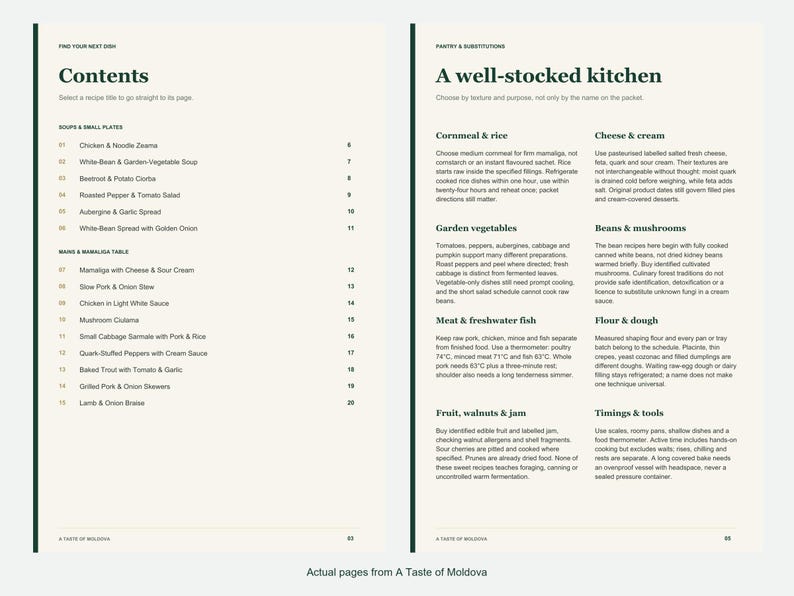 Actual contents and kitchen-notes pages from A Taste of Moldova.