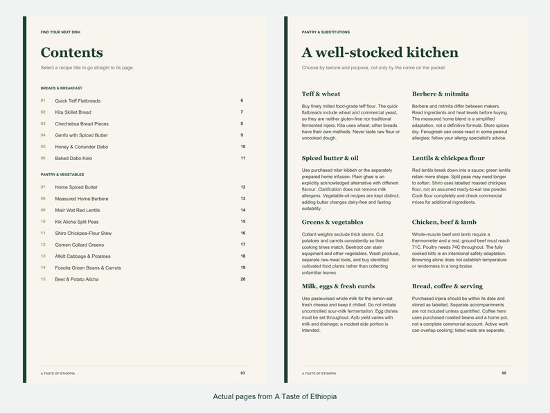 Actual contents and kitchen-notes pages from A Taste of Ethiopia.