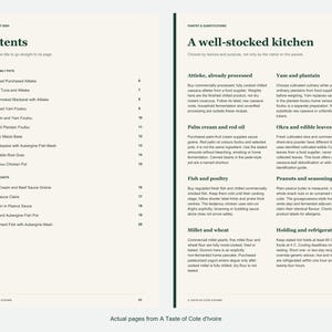 Actual contents and kitchen-notes pages from A Taste of Cote d'Ivoire.