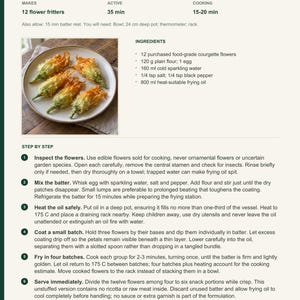 Actual PDF page 13 from A Taste of Monaco: Courgette Flower Fritters recipe page.