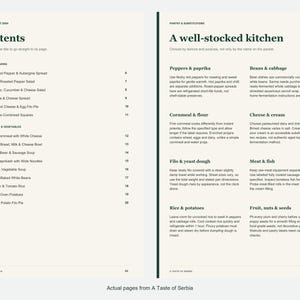 Actual contents and kitchen-notes pages from A Taste of Serbia.