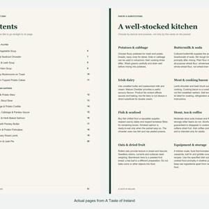 Actual contents and kitchen-notes pages from A Taste of Ireland.