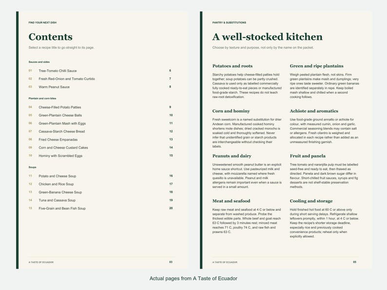 Actual contents and kitchen-notes pages from A Taste of Ecuador.