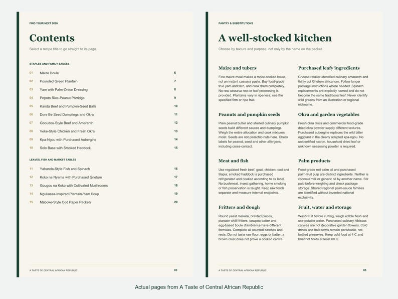 Actual contents and kitchen-notes pages from A Taste of Central African Republic.